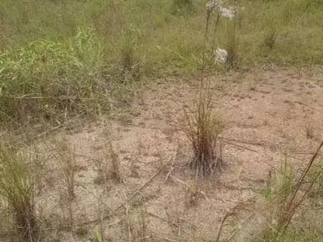 Sítio e chácara venda em Região Geográfica Imediata de Florianópolis, Palhoça