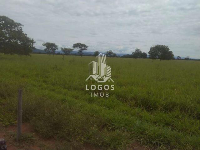 Sítio e chácara venda em Palma, Região Geográfica Intermediária de Juiz de Fora