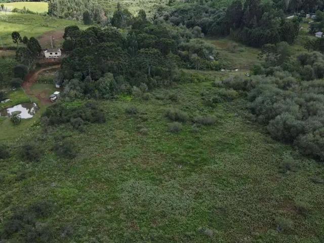 Sítio e chácara venda em Região Geográfica Imediata de Pato Branco, Palmas