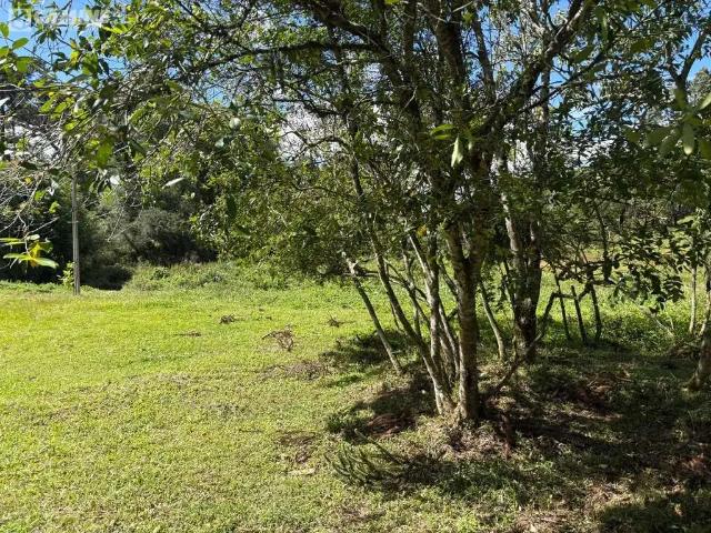 Sítio e chácara venda em Região Geográfica Imediata de Pato Branco, Palmas