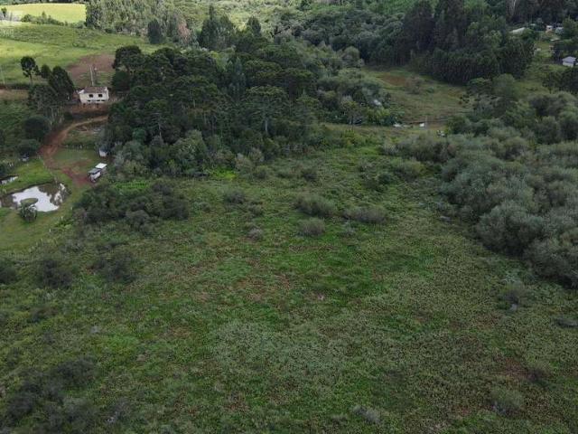 Sítio e chácara venda em Palmas, Região Geográfica Intermediária de Cascavel