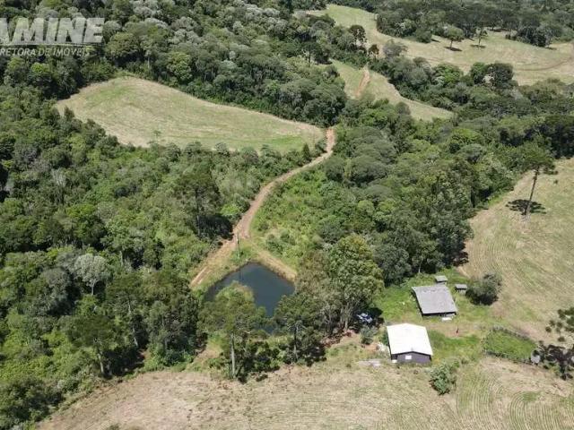 Sítio e chácara venda em Palmas, Região Geográfica Intermediária de Cascavel