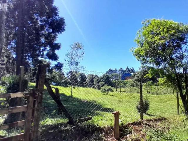 Sítio e chácara venda em Palmas, Região Geográfica Intermediária de Cascavel