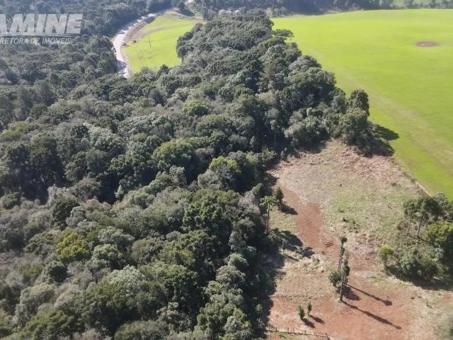 Sítio e chácara venda em Região Geográfica Imediata de Pato Branco, Palmas