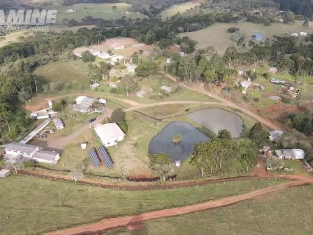 Sítio e chácara venda em Região Geográfica Imediata de Pato Branco, Palmas