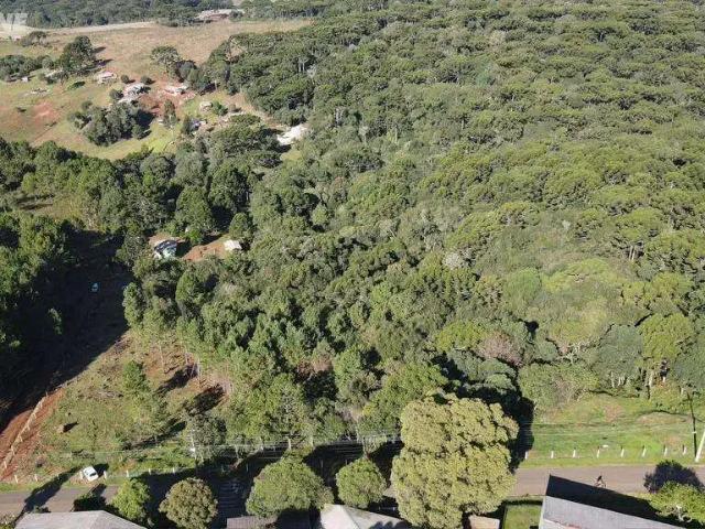 Sítio e chácara venda em Palmas, Região Geográfica Intermediária de Cascavel
