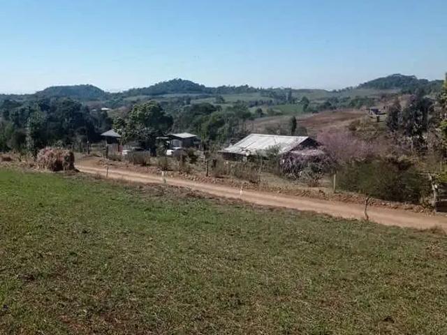 Sítio e chácara venda em Região Geográfica Imediata de Pato Branco, Palmas