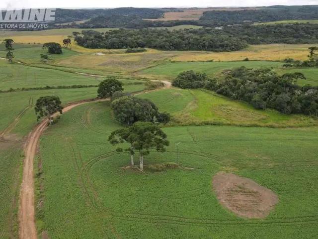 Sítio e chácara venda em Região Geográfica Imediata de Pato Branco, Palmas