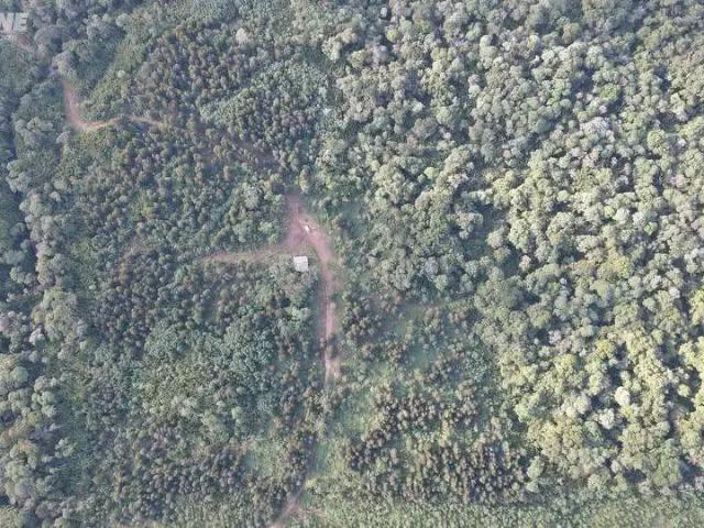Sítio e chácara venda em Palmas, Região Geográfica Intermediária de Cascavel