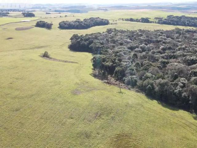 Sítio e chácara venda em Região Geográfica Imediata de Pato Branco, Palmas