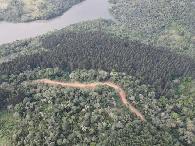 Sítio e chácara venda em Região Geográfica Imediata de Pato Branco, Palmas