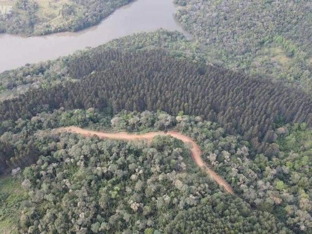 Sítio e chácara venda em Palmas, Região Geográfica Intermediária de Cascavel