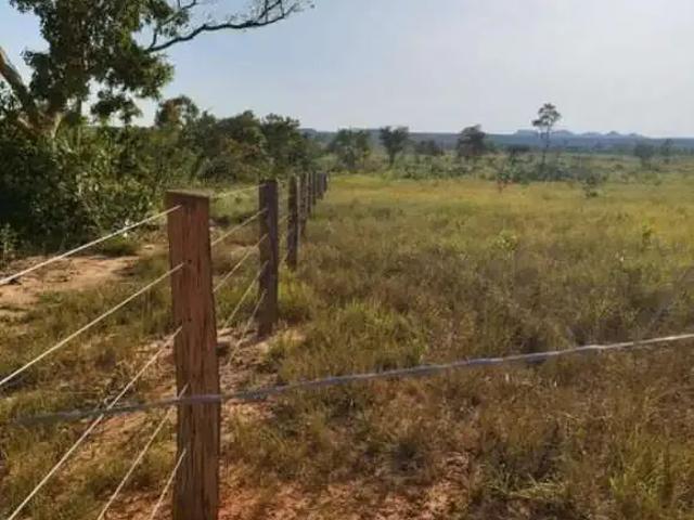 Sítio e chácara venda em Região Geográfica Imediata de Palmas, Palmas