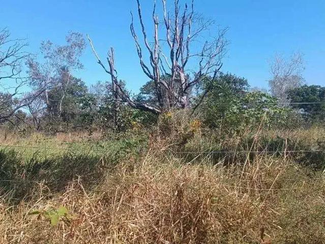 Sítio e chácara venda em Região Geográfica Imediata de Palmas, Palmas