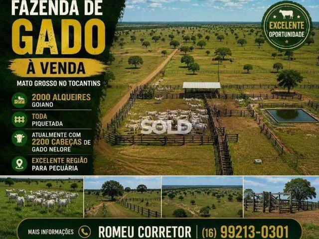 Sítio e chácara venda em Região Geográfica Imediata de Palmas, Palmas