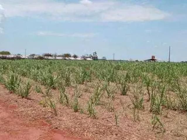 Sítio e chácara venda em Região Geográfica Imediata de Palmas, Palmas