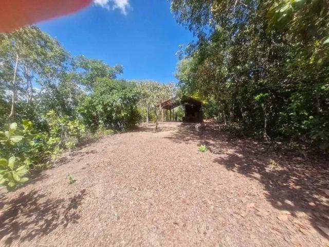 Sítio e chácara venda em Região Geográfica Imediata de Palmas, Palmas