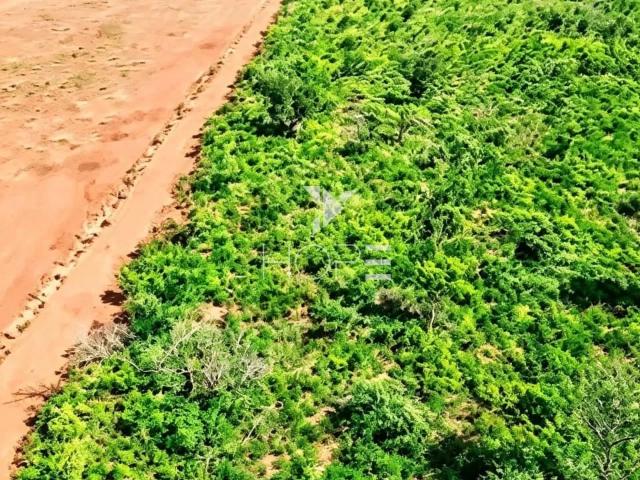 Sítio e chácara venda em Palmas, Região Geográfica Intermediária de Palmas