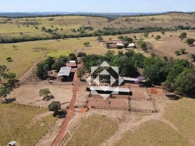 Sítio e chácara venda em Região Geográfica Imediata de Palmas, Palmas