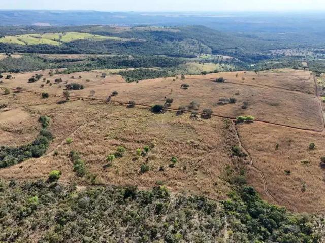 Sítio e chácara venda em Região Geográfica Imediata de Palmas, Palmas