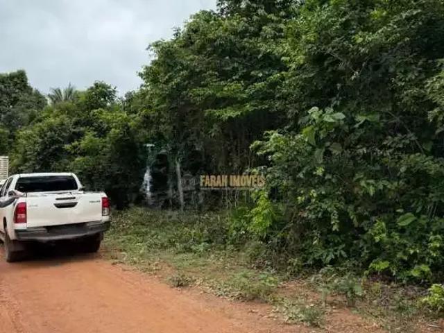 Sítio e chácara venda em Palmeira do Piauí, Região Nordeste