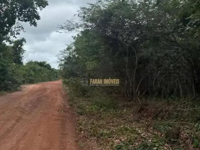 Sítio e chácara venda em Palmeira do Piauí, Região Nordeste
