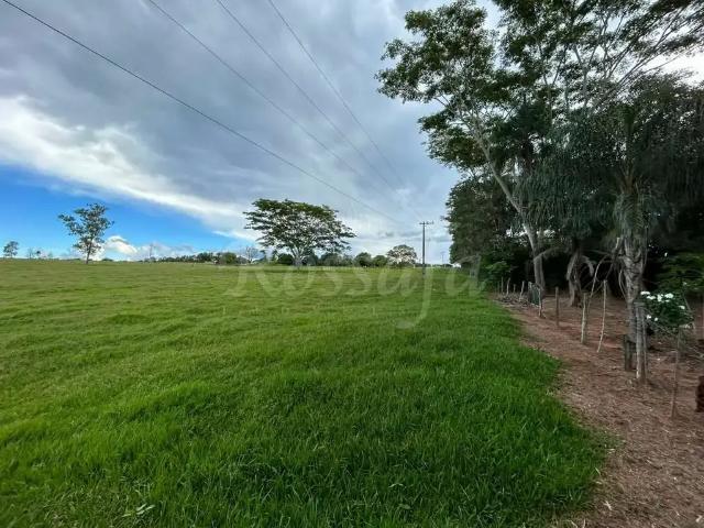 Sítio e chácara venda em Região Imediata de Jales, Palmeira d'Oeste