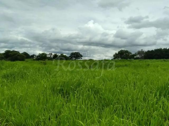 Sítio e chácara venda em Região Imediata de Jales, Palmeira d'Oeste