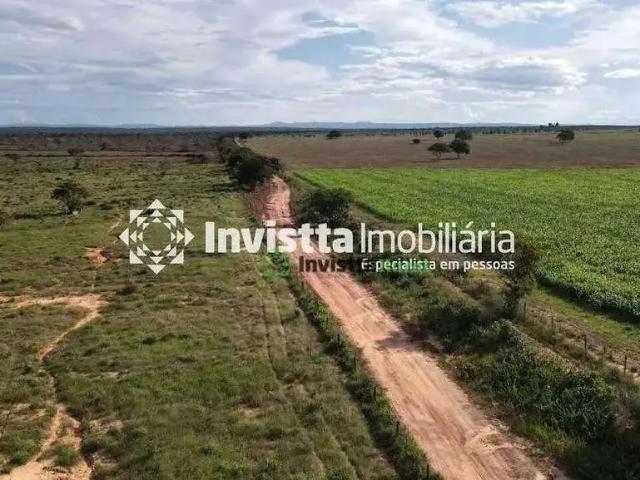 Sítio e chácara venda em Palmeirante, Região Norte