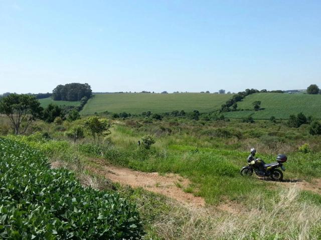 Sítio e chácara venda em Região Geográfica Imediata de Ponta Grossa, Palmeira
