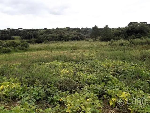Sítio e chácara venda em Região Geográfica Imediata de João Pessoa, Região Metropolitana de João Pessoa