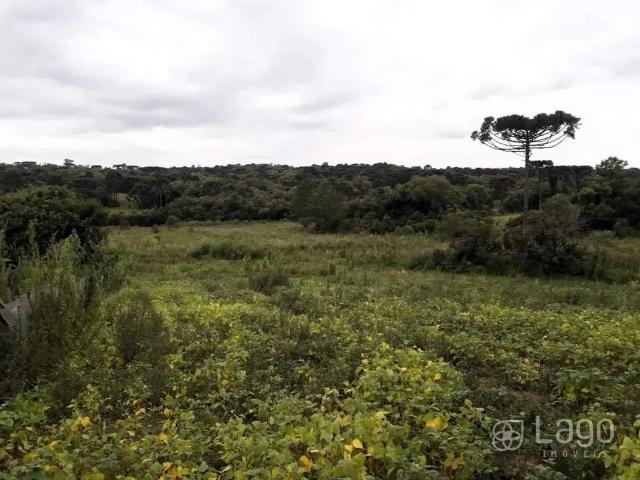 Sítio e chácara venda em Região Geográfica Imediata de João Pessoa, Região Metropolitana de João Pessoa