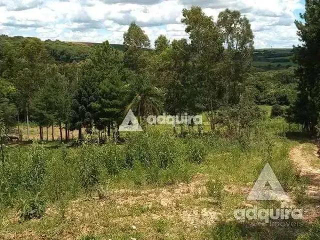 Sítio e chácara venda em Palmeira, Região Geográfica Intermediária de Ponta Grossa