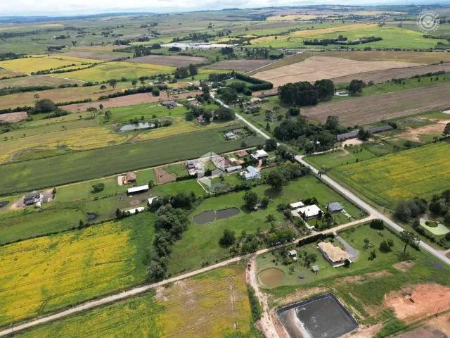 Sítio e chácara venda em Witmarsum, Palmeira