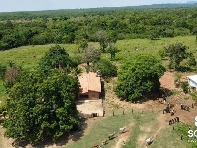 Sítio e chácara venda em Região Geográfica Imediata de Palmeiras de Goiás, Palminópolis