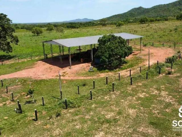 Sítio e chácara venda em Região Geográfica Imediata de Palmeiras de Goiás, Palminópolis