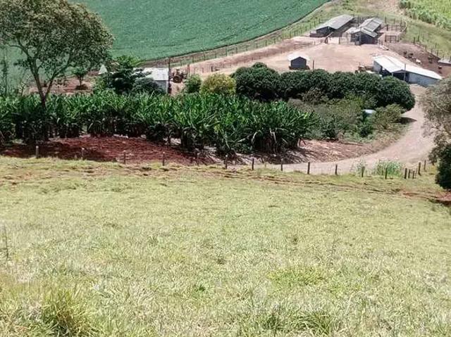 Sítio e chácara venda em Região Geográfica Imediata de Pitanga, Palmital