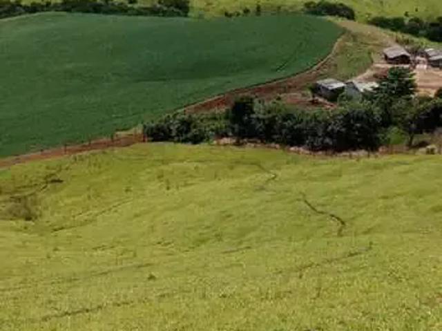 Sítio e chácara venda em Região Geográfica Imediata de Pitanga, Palmital