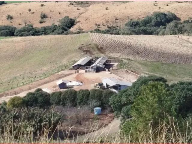 Sítio e chácara venda em Região Geográfica Imediata de Pitanga, Palmital