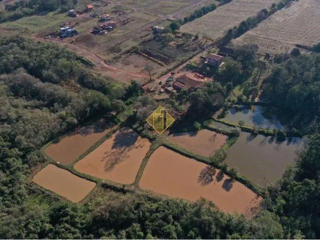 Sítio e chácara venda em Região Geográfica Imediata de Toledo, Palotina
