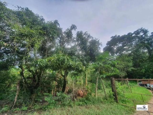 Sítio e chácara venda em Região Geográfica Imediata de Pará de Minas, Pará de Minas