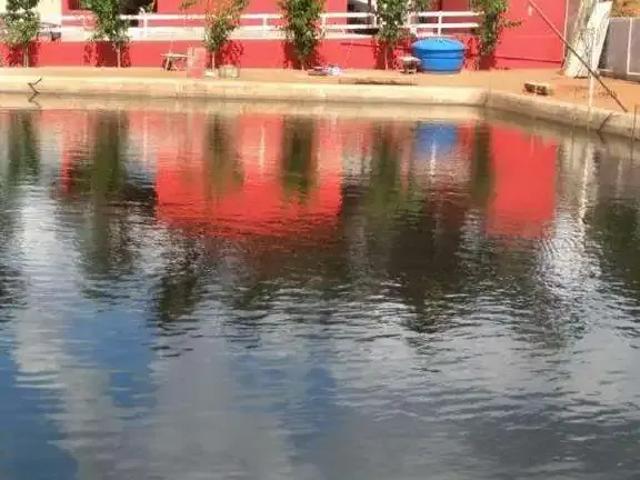 Sítio e chácara venda em Região Geográfica Imediata de Pará de Minas, Pará de Minas