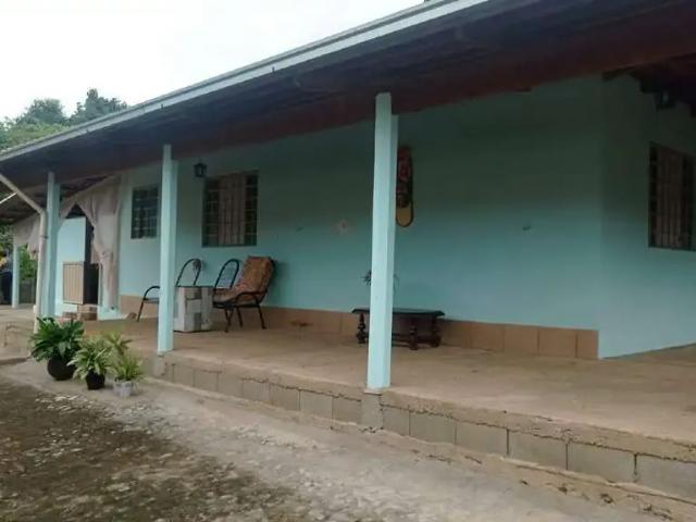 Sítio e chácara venda em Região Geográfica Imediata de Pará de Minas, Pará de Minas