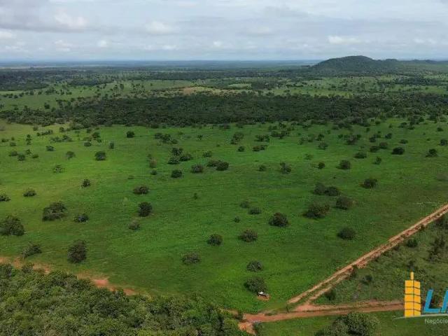 Sítio e chácara venda em Região Geográfica Imediata de Patos de Minas, Paracatu