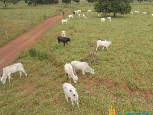 Sítio e chácara venda em Região Geográfica Imediata de Patos de Minas, Paracatu