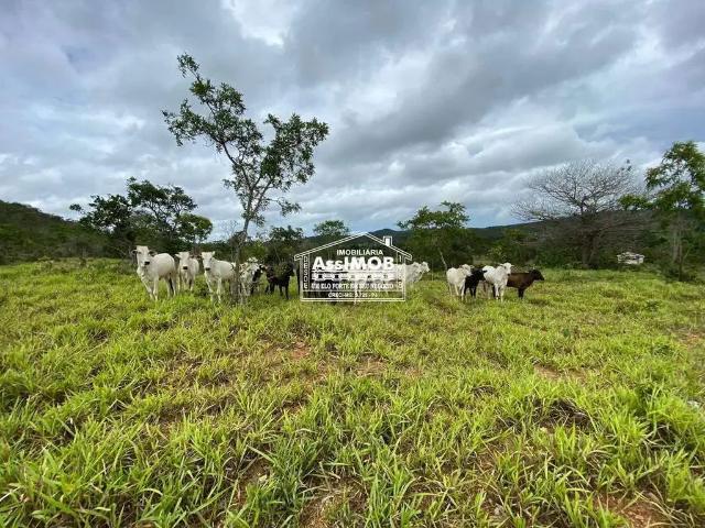 Sítio e chácara venda em Região Geográfica Imediata de Patos de Minas, Paracatu