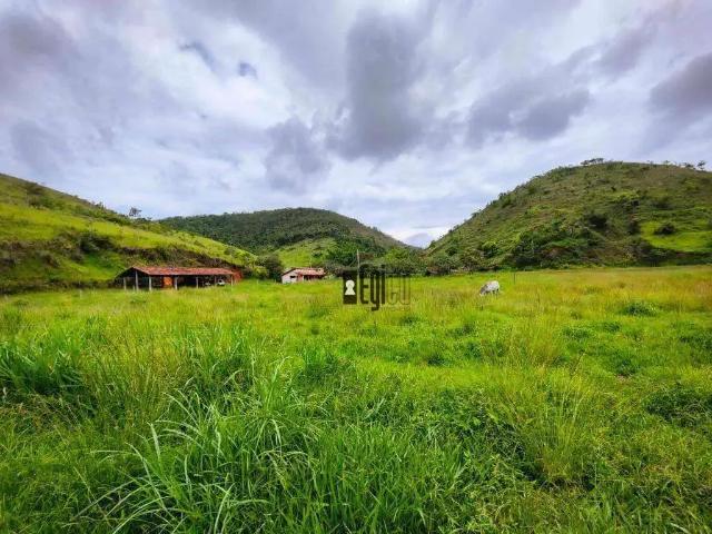 Sítio e chácara venda em Região Geográfica Imediata de Três Rios-Paraíba do Sul, Paraíba do Sul