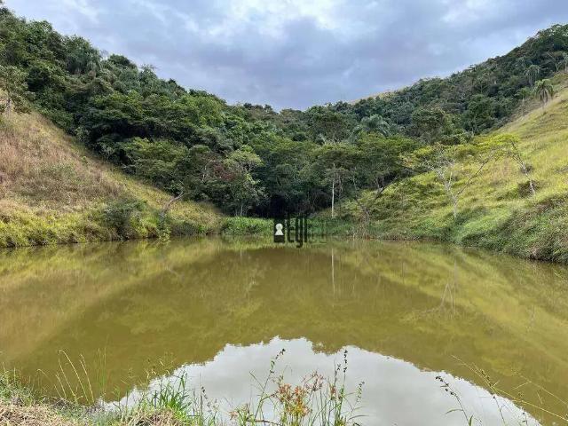 Sítio e chácara venda em Região Geográfica Imediata de Três Rios-Paraíba do Sul, Paraíba do Sul