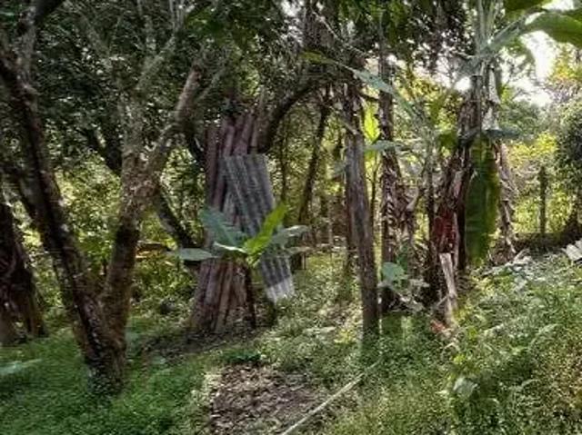 Sítio e chácara venda em Região Imediata de São José dos Campos, Região Metropolitana do Vale do Paraíba e Litoral Norte