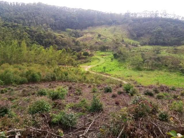 Sítio e chácara venda em Região Imediata de São José dos Campos, Região Metropolitana do Vale do Paraíba e Litoral Norte